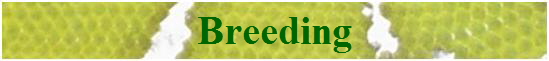 Breeding