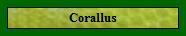 Corallus