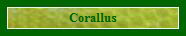 Corallus
