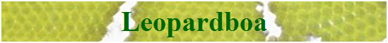 Leopardboa