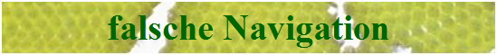 falsche Navigation